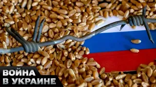 🤬 РОССИЯ продает зерно в ЕС! Почему Европа молчит?