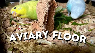 What to Place on an Aviary Floor? 🐦