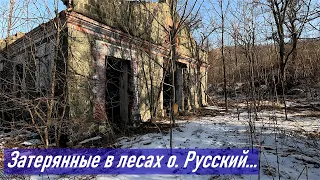Затерянные в лесах о. Русский, остатки 33-его полка
