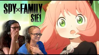 ADOPT THE CHILD!!! - SPY x Family Episode 1 Reaction