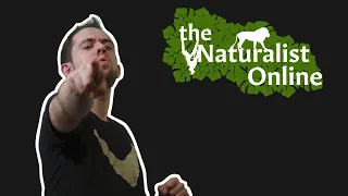 The Naturalist Online Intro