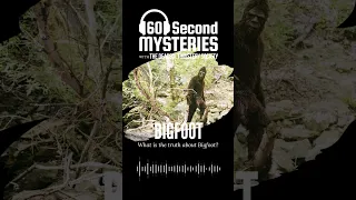 60 Second Mysteries -  Bigfoot