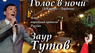 Голос в ночи - Заур Тутов