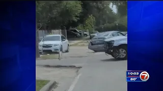 Only in Dade: Video captures multi-vehicle crash in Miami described by witnesses as road rage