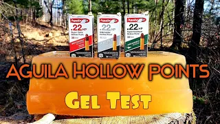 Aguila HP's Super Extra Interceptor Supermaximum Ballistic Gel Test