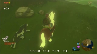 Zelda: Breath of the Wild. Epona and Wolf Link