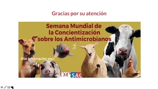 Tania Herrera - Avances y desafíos del Plan Nacional contra la Resistencia a los Antimicrobianos