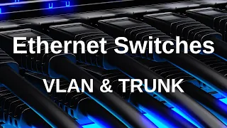 NETWORKING: Funkcjonalności Przełączników Ethernet – VLAN & TRUNK