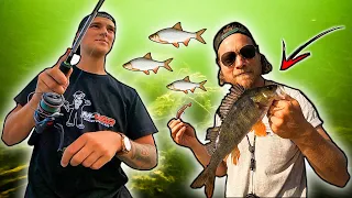Perch Fishing Around BRUSHWOOD (Crazy summer Fishing) | Team Galant