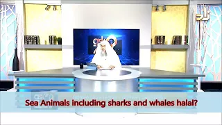 All Seafood halal, including Whales and Shark? - Sheikh Assim Al Hakeem