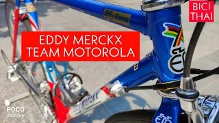 Eddy Merckx Corsa Team Motorola #BiciThai