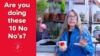 10 WINTER SOWING MISTAKES and How to Avoid them!