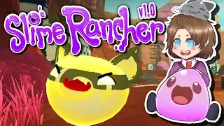 Quanten-Jäger Schleime & Farm Upgrade! | 07 | Slime Rancher