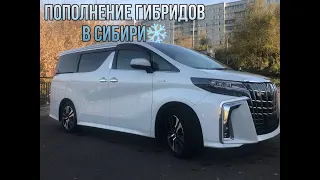 Toyota Alphard 2019 комплектация SR C Package