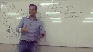 Aulão de hematologia como você nunca viu.