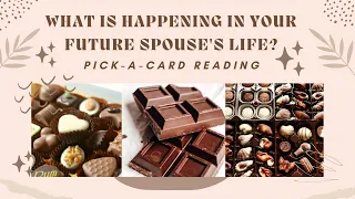 🔮❣️ ✨ What is Happening Currently in Your Future Spouse's Life? ✨ ❣️ 🔮 Pick-A-Card Tarot Reading