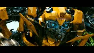 Bumblebee PV 1