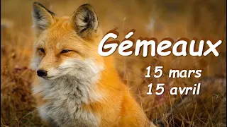 ♊️ GEMEAUX :  Le printemps est synonyme de renaissance et de succès ! 15 mars au 15 avril 2023