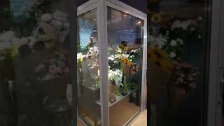 Холодильная камера для цветов №2 - Фриз-Холод