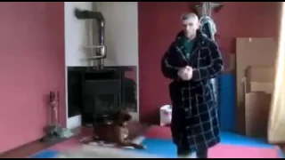 Smart dog stop a dangerous "karate"  dance