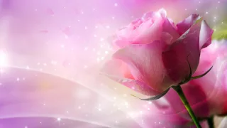 Фон для видеомонтажа Pink Roses HD Video Background