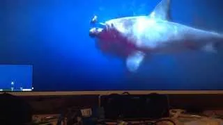 акула в GTA 5!