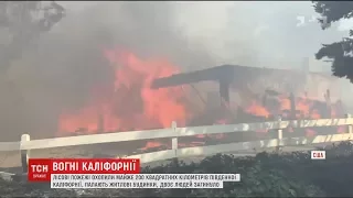 У Південній Каліфорнії оголосили надзвичайний стан через масштабні лісові пожежі