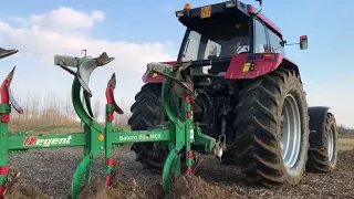 CaseIH Maxxum 5150 Plus + quadrivomere Regent XC 335