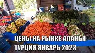 ТУРЦИЯ АЛАНЬЯ ВПЕРВЫЕ НА РЫНКЕ В 2023 ГОДУ РЫНОК В ОБА ЦЕНЫ НОРМ