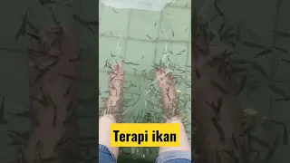 Geli geli Terapi Ikan