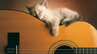 🐱 💤 Музыка для кошек и котов! Успокойте ваших кошек музыкой! расслабляющий звук для кошек 2021