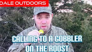 Calling to Roosted Gobblers