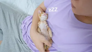 Even naught kittens become angels when they sleep