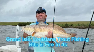 Grand Isle, Louisiana Speckled Trout Part 1 Fishing Bite Is Fire 🔥 Filmed In 4k