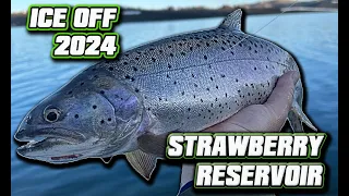 Strawberry Reservoir Ice Off Strategies--2024 (Trout Fishing From SHORE!)