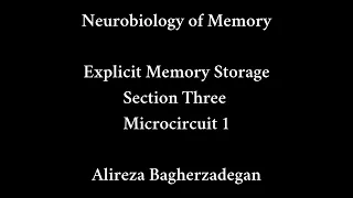 Lecture 13: Explicit Memory Storage, Microcircuits ( I )