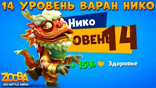 LEVEL 14 + 4 SLOT!!! EASTERN DRAGON NICO - ZOOBA