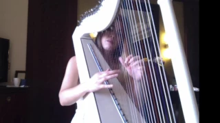 Comfortably numb on harp by Evelina Rolon