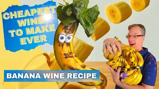 How to Make Wine from Fruit - Banana Wine Recipe - Cheapest Wine Ever- Banana Wine Part I