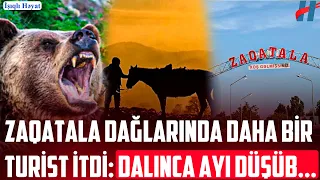 Zaqatala dağlarında daha bir turist İTDİ: dalınca ayı düşüb...