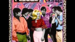 The Wet Paint - Shame ('60s GARAGE PSYCH PUNK)