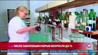 ЧИСЛО ЗАБОЛЕВШИХ КОРЬЮ ВОЗРОСЛО ДО 71