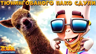 ТЮНИНГОВАНЫЙ ПАКО - 3 ТОП 1!!! 20 СКВАД СДУЛ АЛЬПАКУ В ИГРЕ ZOOBA