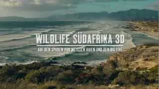 Wildlife Südafrika - Auf den Spuren von weißen Haien und den Big Five (Deutscher Trailer)