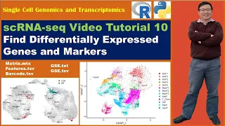 Seurat Video Tutorials--Video 10: Find Markers and Differentially Expressed Genes