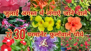 जुलाई-अगस्त में लाकर लगाऐं ये 30 परमानेंट फूलोंवाले पौधे / august flower plant