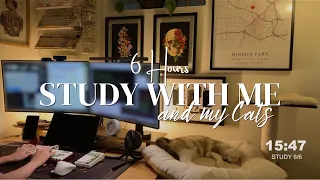 6 HOURS | STUDY/WORK WITH ME & MY CATS | Calm Piano | 50/10 Pomodoro