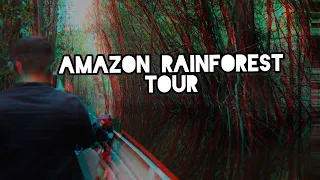 Amazon Rainforest Tour Highlights / Amazon Jungle Tours Brazil - Off Roads Travel 4K