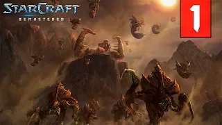 Прохождение StarCraft: Remastered - Эпизод II: Зерги - Глава 1: Среди руин