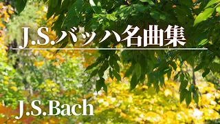 【名曲クラシック】J.S.バッハの名曲から10曲セレクトしました♪作業用BGM  J.S.Bach